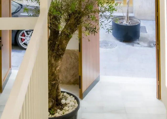 Apartment Terrace